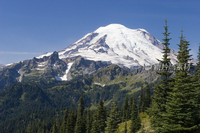 来自Naches Peak Trail的雷尼尔山